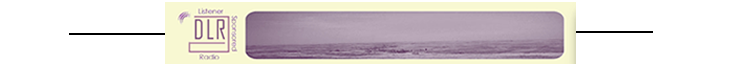 DLR website banner